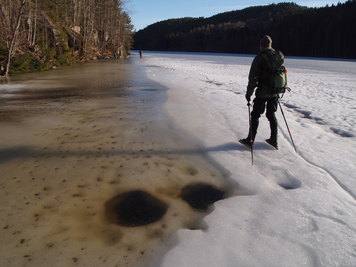 Vårisens farer og&nbsp;gleder