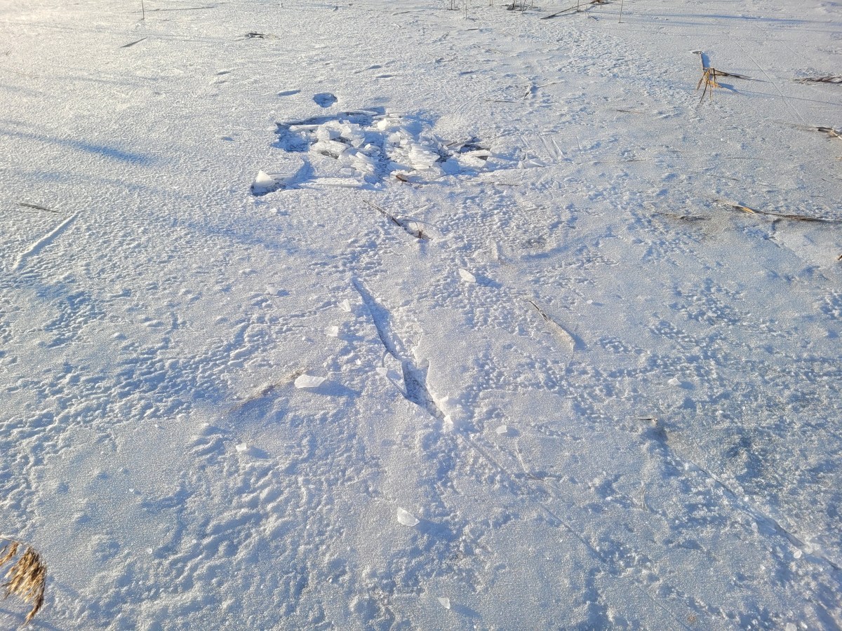 Hvorfor jeg bruker&nbsp;hjelm