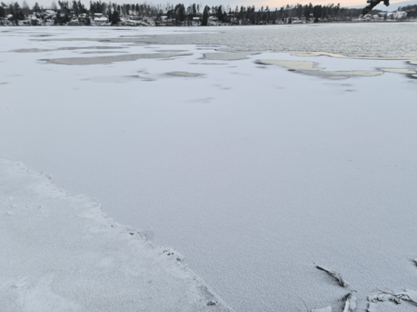 Sterkt varierende forhold med tidlig&nbsp;islegging